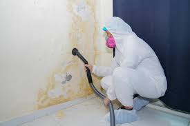 Best Commercial Mold Inspection in Healdton, OK